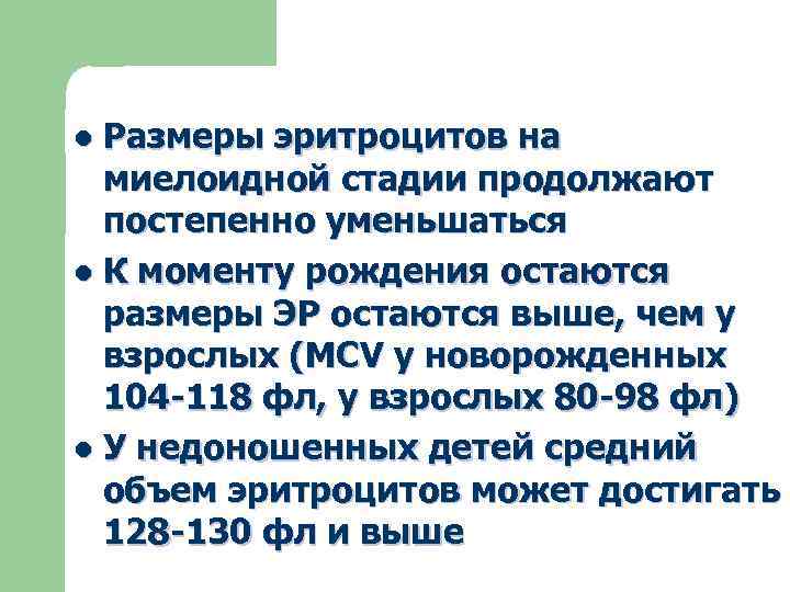 Размеры эритроцитов на миелоидной стадии продолжают постепенно уменьшаться l К моменту рождения остаются размеры