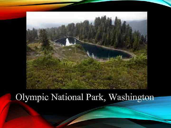 Olympic National Park, Washington 