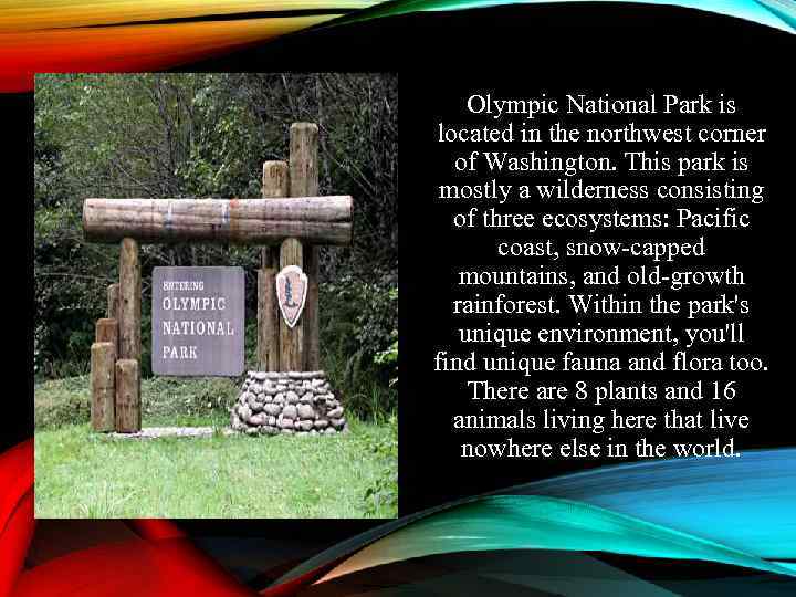 Olympic National Park is located in the northwest corner of Washington. This park is