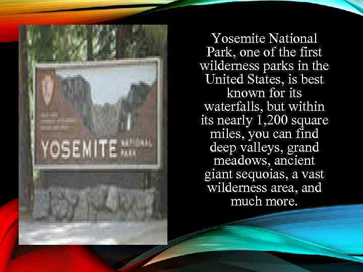 Yosemite National Park, one of the first wilderness parks in the United States, is