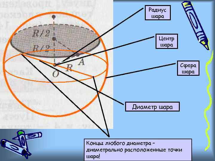 Радиус шара Центр шара Сфера шара Диаметр шара Концы любого диаметра – диаметрально расположенные