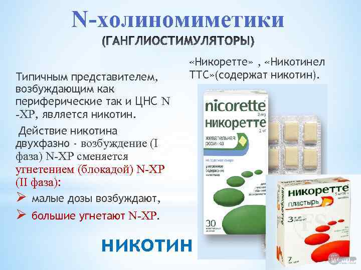 N-холиномиметики Типичным представителем, возбуждающим как периферические так и ЦНС N -ХР, является никотин. Действие