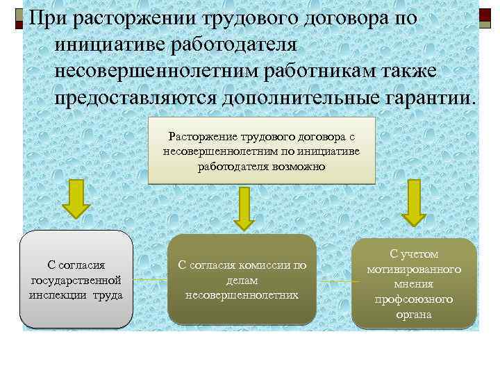 При расторжении трудового договора по инициативе работодателя несовершеннолетним работникам также предоставляются дополнительные гарантии. Расторжение