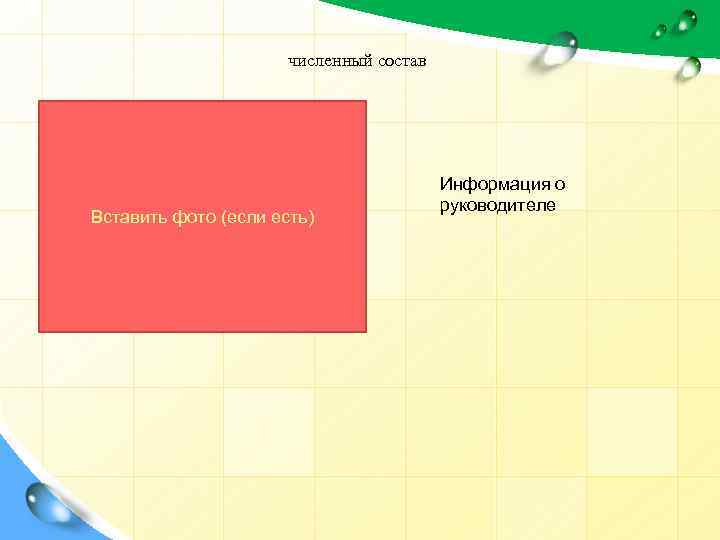 численный состав Вставить фото (если есть) Информация о руководителе 