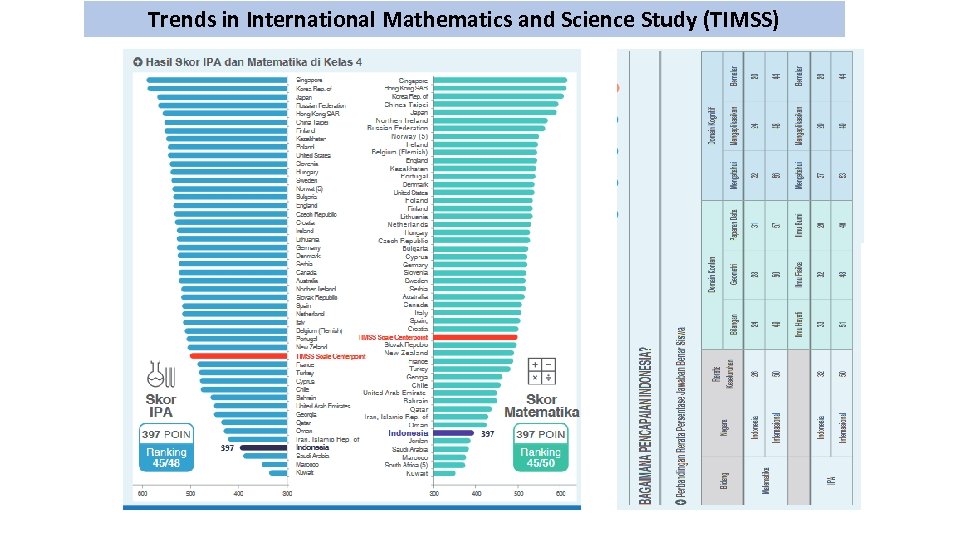 Trends in International Mathematics and Science Study (TIMSS) 