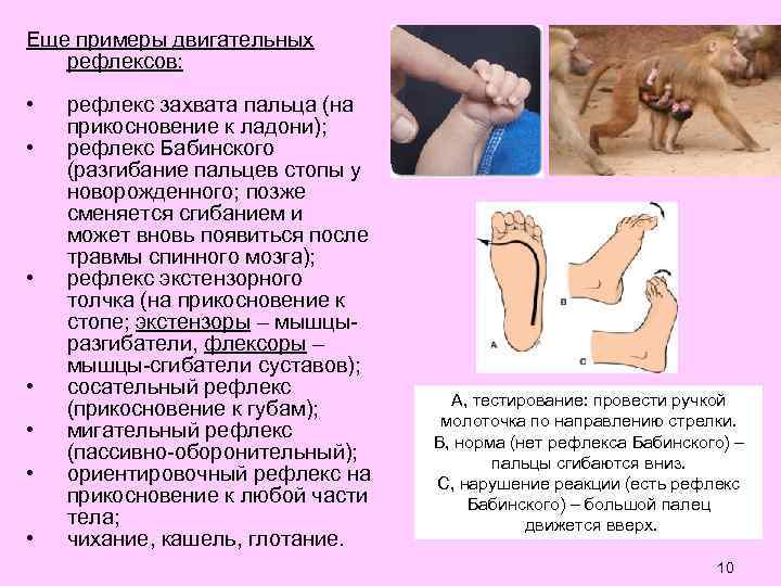 Еще примеры двигательных рефлексов: • • рефлекс захвата пальца (на прикосновение к ладони); рефлекс