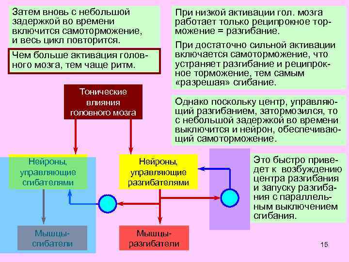 Затем вновь с небольшой задержкой во времени включится самоторможение, и весь цикл повторится. Чем