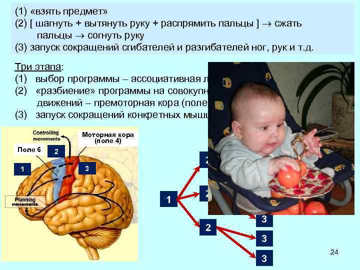 (1) «взять предмет» (2) [ шагнуть + вытянуть руку + распрямить пальцы ] сжать