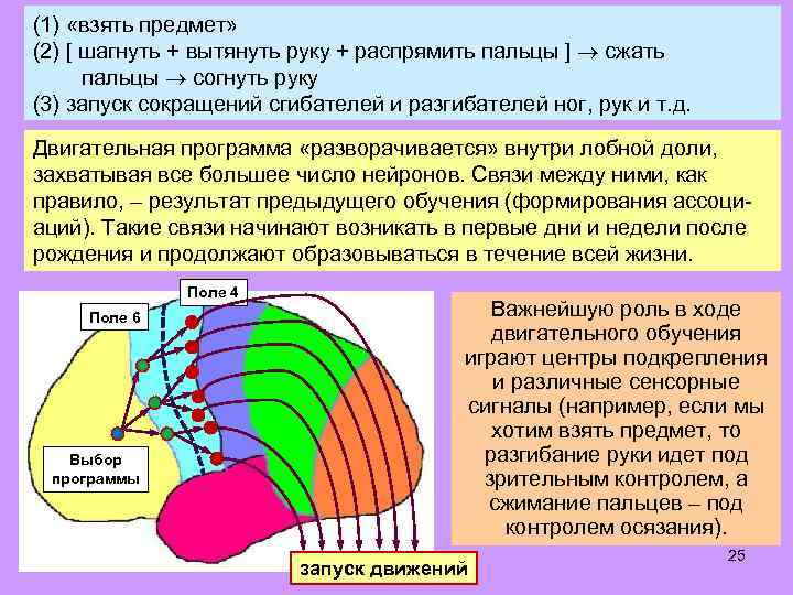 (1) «взять предмет» (2) [ шагнуть + вытянуть руку + распрямить пальцы ] сжать