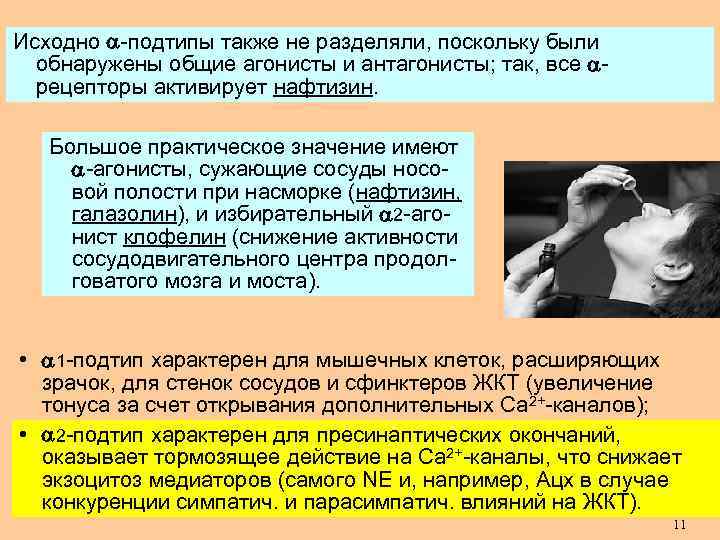 Исходно -подтипы также не разделяли, поскольку были обнаружены общие агонисты и антагонисты; так, все