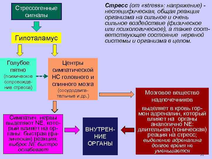 Стресс (от «stress» : напряжение) неспецифическая, общая реакция организма на сильное и очень сильное