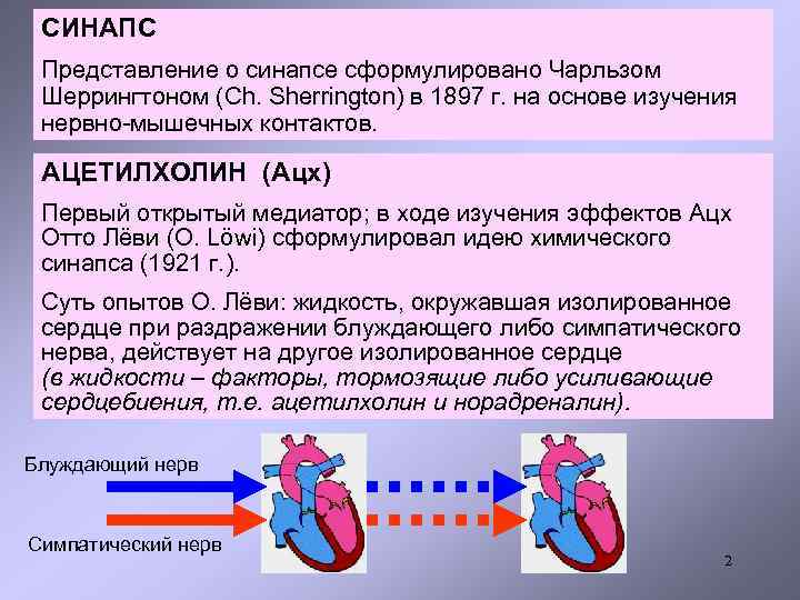 СИНАПС Представление о синапсе сформулировано Чарльзом Шеррингтоном (Ch. Sherrington) в 1897 г. на основе
