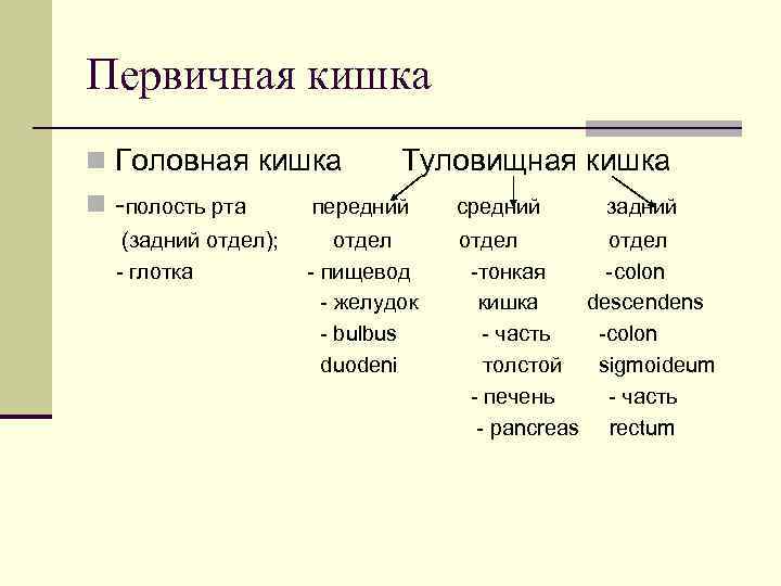 Первичная кишка n Головная кишка n -полость рта (задний отдел); - глотка Туловищная кишка