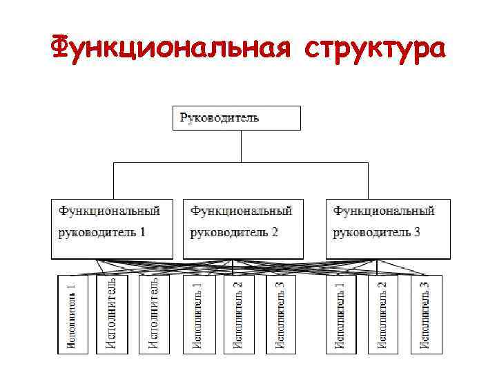 Функциональная структура 