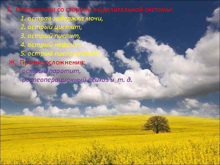 Е. Осложнения со стороны выделительной системы: 1. острая задержка мочи, 2. острый цистит, 3.