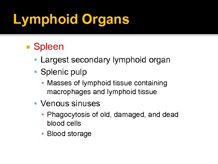 Lymphoid Organs Spleen Largest secondary lymphoid organ Splenic pulp ▪ Masses of lymphoid tissue