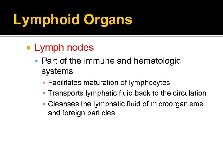 Lymphoid Organs Lymph nodes Part of the immune and hematologic systems ▪ Facilitates maturation