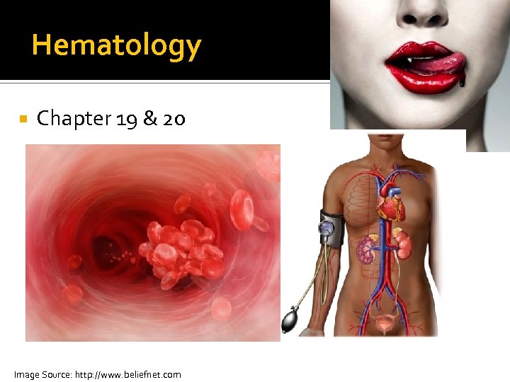 Hematology Chapter 19 & 20 Image Source: http: //www. beliefnet. com 