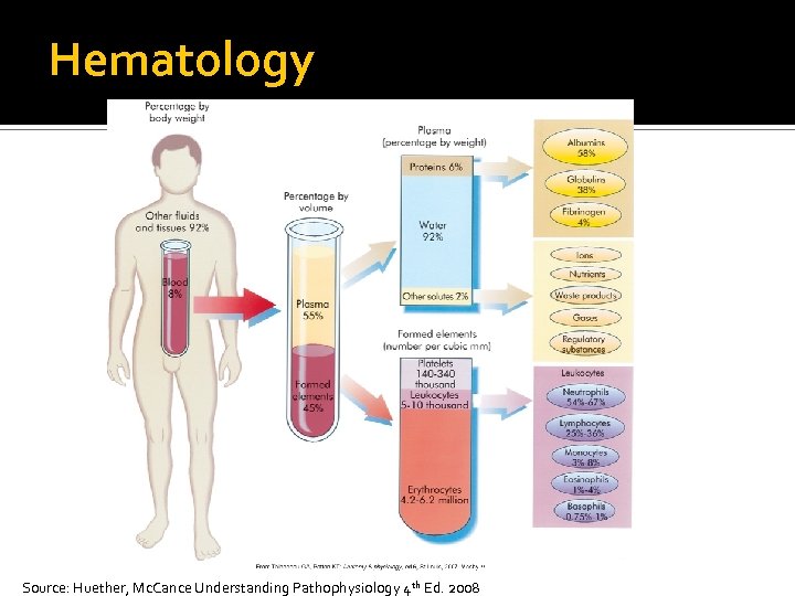 Hematology Source: Huether, Mc. Cance Understanding Pathophysiology 4 th Ed. 2008 