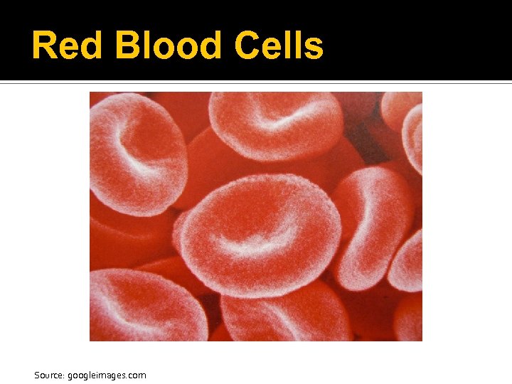 Red Blood Cells Source: googleimages. com 