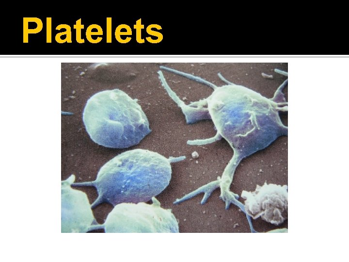 Platelets 