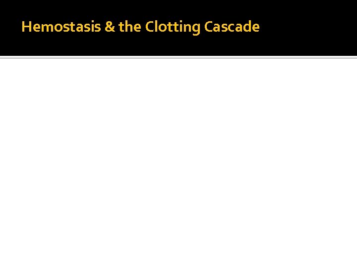 Hemostasis & the Clotting Cascade 