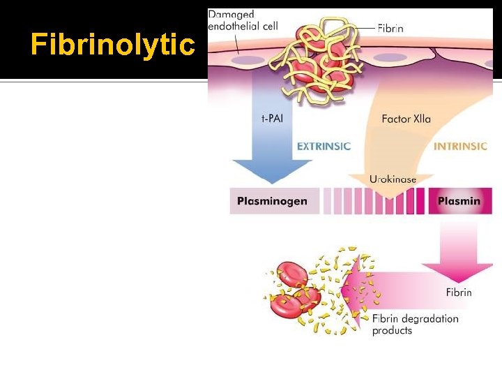 Fibrinolytic 