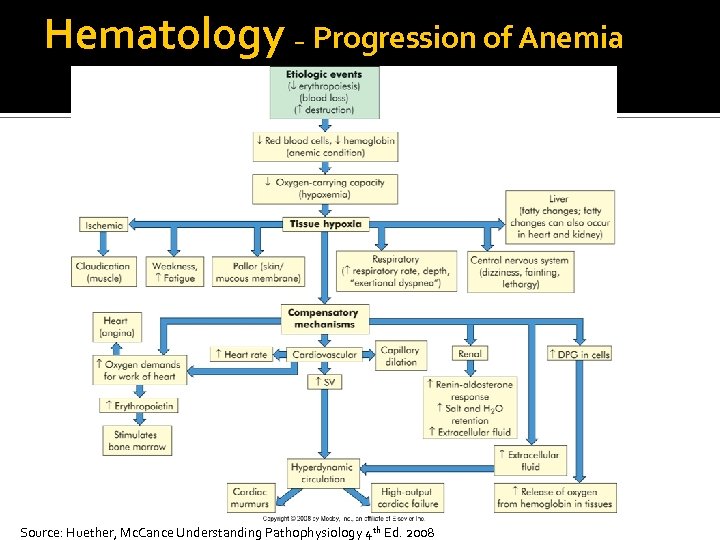Hematology – Progression of Anemia Source: Huether, Mc. Cance Understanding Pathophysiology 4 th Ed.