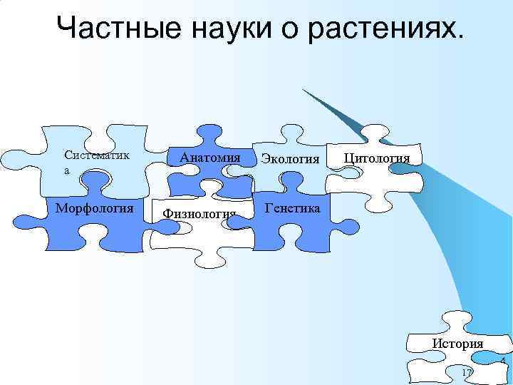 Частные науки о растениях. Систематик а Морфология Анатомия Физиология Экология Цитология Генетика История 4