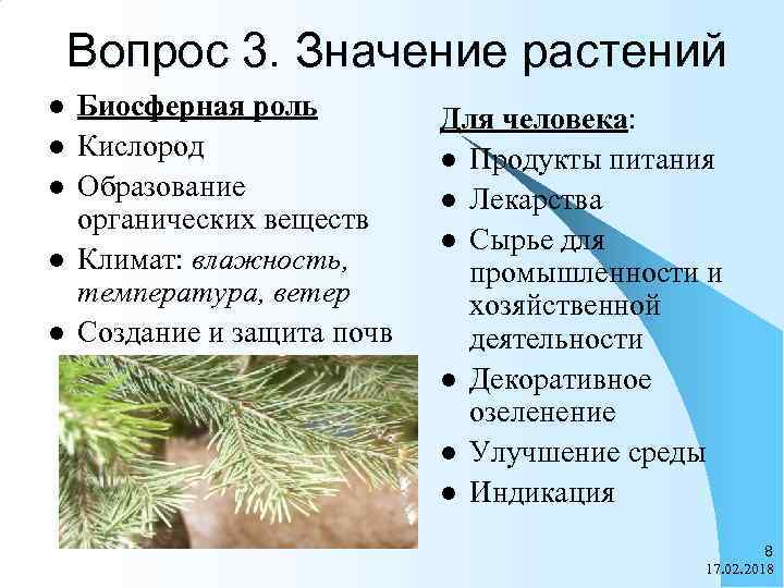 Вопрос 3. Значение растений l l l Биосферная роль Кислород Образование органических веществ Климат: