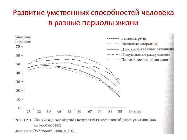 Развитие умственных способностей человека в разные периоды жизни 