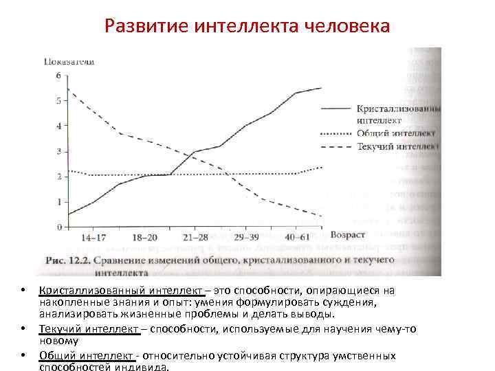 Развитие интеллекта человека • • • Кристаллизованный интеллект – это способности, опирающиеся на накопленные