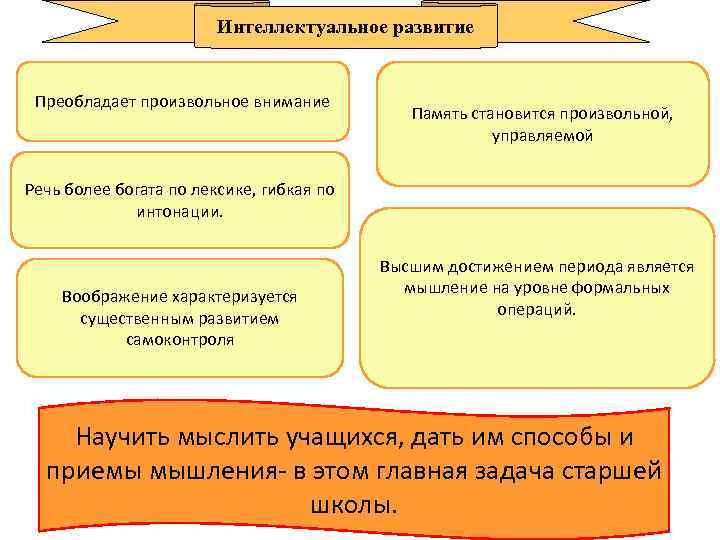 Интеллектуальное развитие Преобладает произвольное внимание Память становится произвольной, управляемой Речь более богата по лексике,