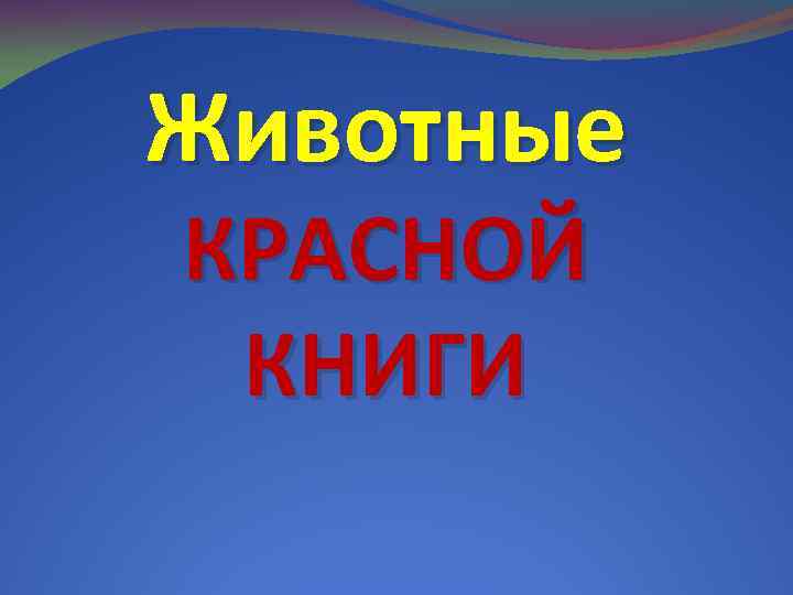 Животные КРАСНОЙ КНИГИ 