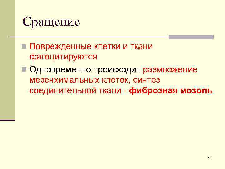 Сращение n Поврежденные клетки и ткани фагоцитируются n Одновременно происходит размножение мезенхимальных клеток, синтез