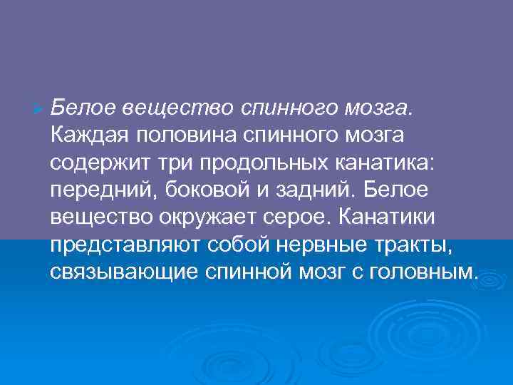 Ø Белое вещество спинного мозга. Каждая половина спинного мозга содержит три продольных канатика: передний,