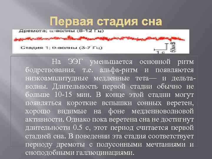 Первая стадия сна На ЭЭГ уменьшается основной ритм бодрствования, т. е. альфа-ритм и появляются