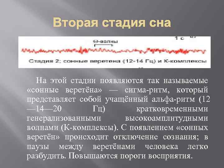 Вторая стадия сна На этой стадии появляются так называемые «сонные веретёна» — сигма-ритм, который