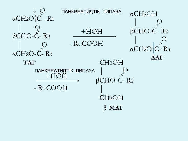 О αСН 2 О-С -R 1 О βСНО-С- R 2 О αСН 2 О-С-