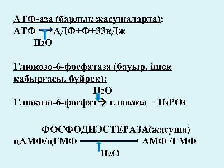 АТФ-аза (барлық жасушаларда): АТФ АДФ+Ф+33 к. Дж Н 2 О Глюкозо-6 -фосфатаза (бауыр, ішек