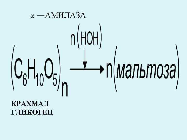 α —АМИЛАЗА КРАХМАЛ ГЛИКОГЕН 