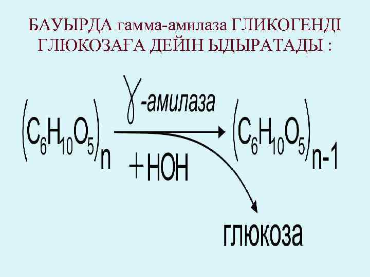 БАУЫРДА гамма-амилаза ГЛИКОГЕНДІ ГЛЮКОЗАҒА ДЕЙІН ЫДЫРАТАДЫ : 