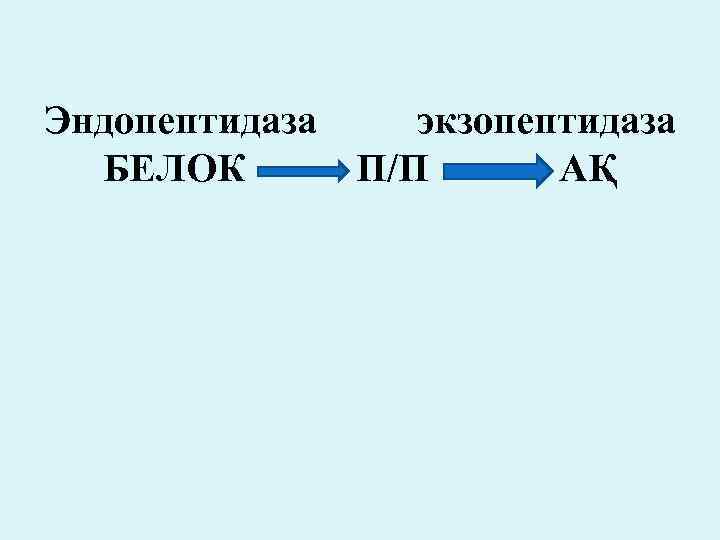 Эндопептидаза экзопептидаза БЕЛОК П/П АҚ 