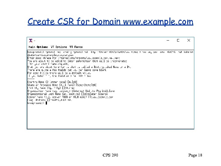 Create CSR for Domain www. example. com CPS 290 Page 18 