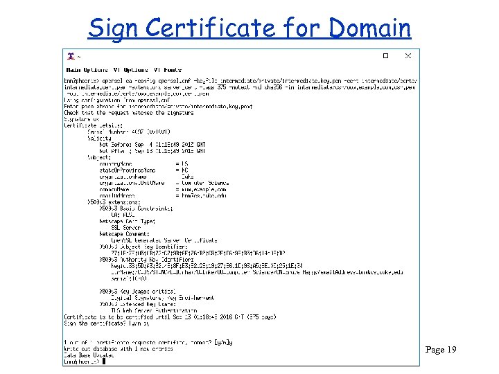 Sign Certificate for Domain CPS 290 Page 19 