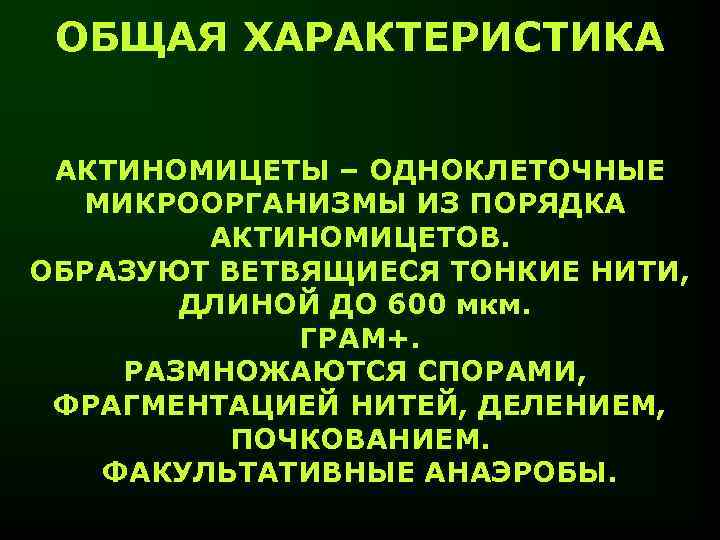 Представители порядков. Актиномицеты характеристика. Краткая характеристика актиномицетов. Основные особенности актиномицетов. Актиномицеты анаэробы.