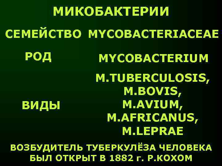 МИКОБАКТЕРИИ СЕМЕЙСТВО MYCOBACTERIACEAE РОД MYCOBACTERIUM ВИДЫ M. TUBERCULOSIS, M. BOVIS, M. AVIUM, M. AFRICANUS,