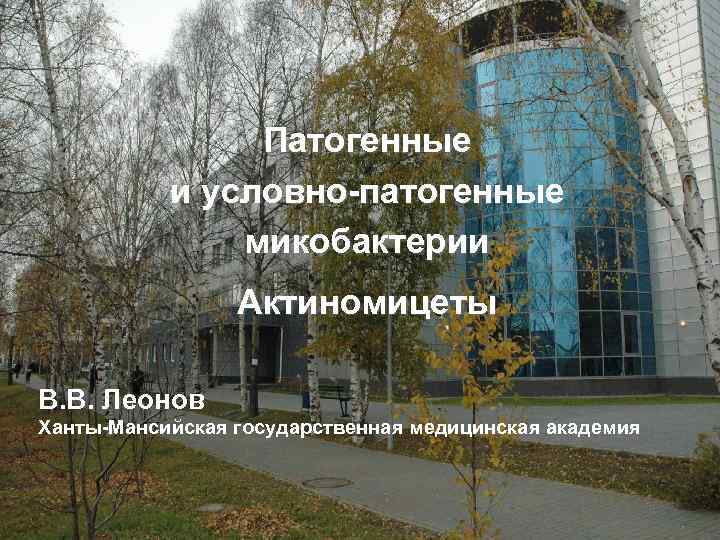 Патогенные и условно-патогенные микобактерии Актиномицеты В. В. Леонов Ханты-Мансийская государственная медицинская академия 