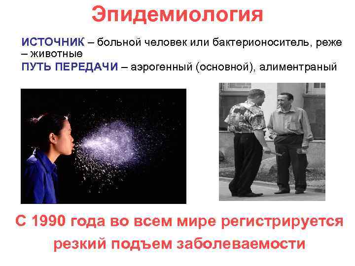 Эпидемиология ИСТОЧНИК – больной человек или бактерионоситель, реже – животные ПУТЬ ПЕРЕДАЧИ – аэрогенный