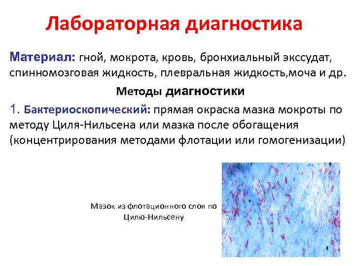 Лабораторная диагностика Материал: гной, мокрота, кровь, бронхиальный экссудат, спинномозговая жидкость, плевральная жидкость, моча и